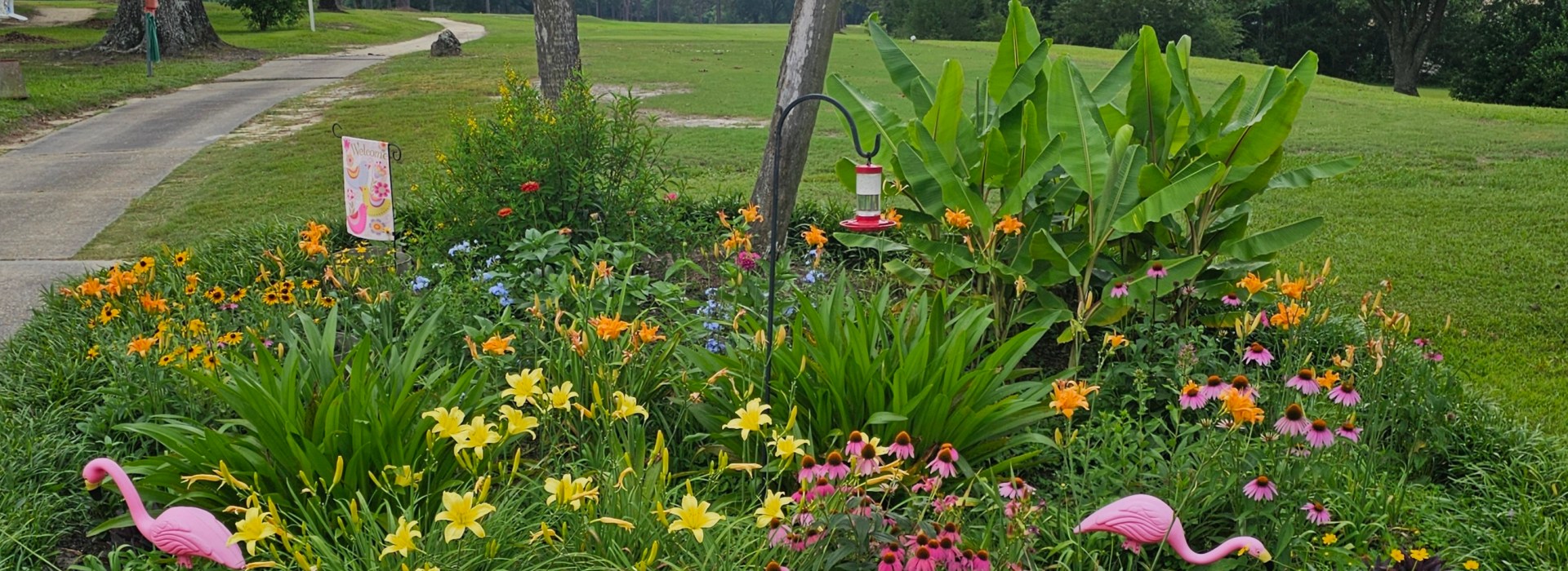 flowers near cart path